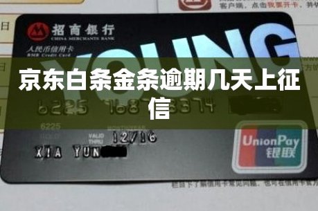白条怎么借钱出来 现金还款