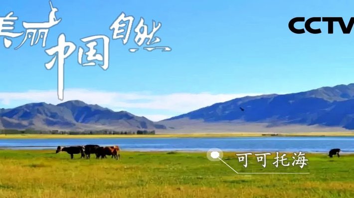 如何在得物积累余额？