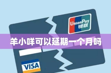 羊小咩套现手续费多少