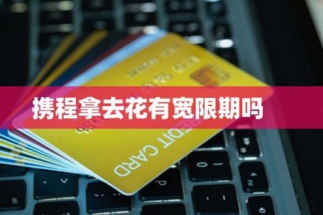 携程里面的拿去花