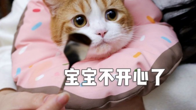 怎么取消花呗天猫秒杀订单？