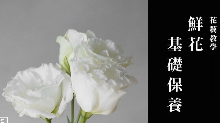 2021怎么套花呗