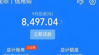 海鸥花呗平台 取现怎么样