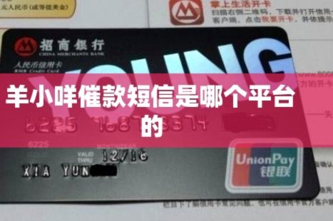 欠款协商指南：如何与银行顺利还款？