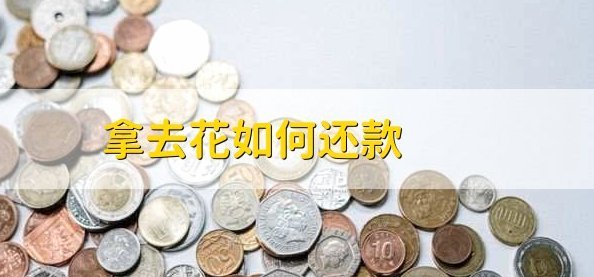 去哪拿去花取现方法