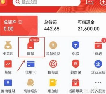 白条借款申请全指南