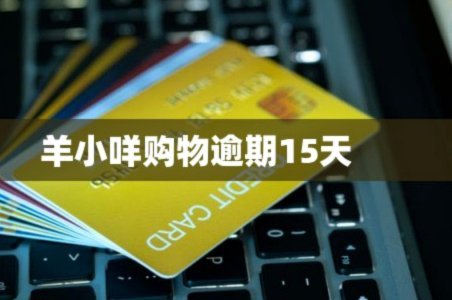 羊小咩怎么申请退款