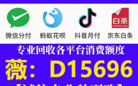 羊小咩现在没有临时额度了吗