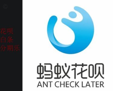 2021花呗怎么套