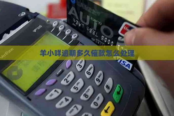 羊小咩贷款公司在哪里