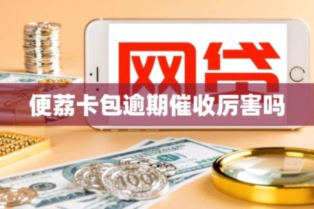 便携卡包平台：真假难辨