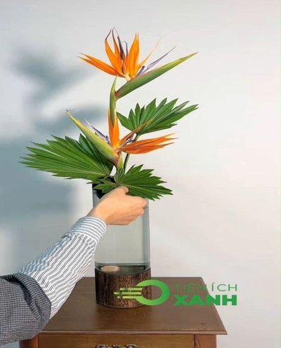 花呗套现：风险与防范
