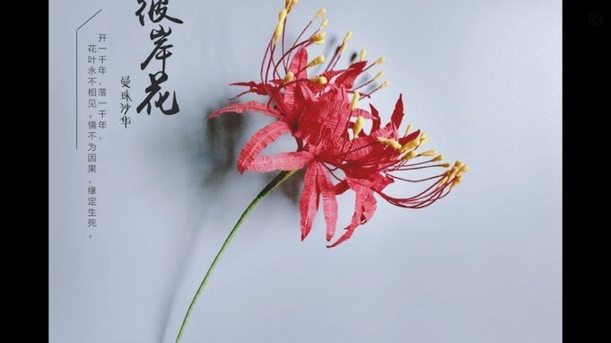 拿去花套现安全吗