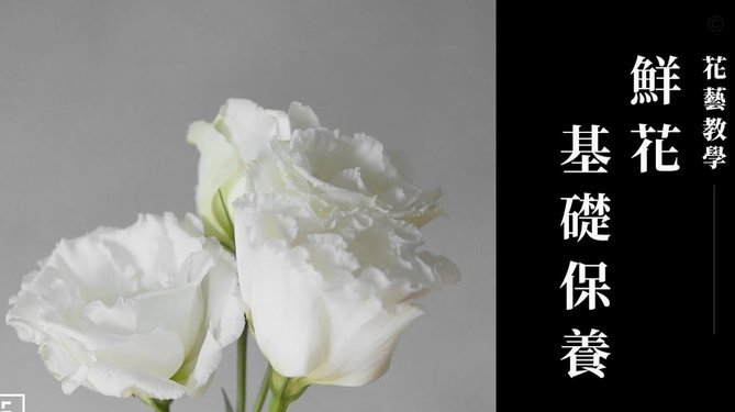 花呗使用怎么样
