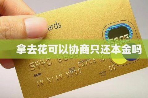 拿去花取现在哪里 出来还款