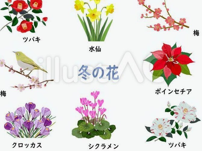 花呗怎么套花呗