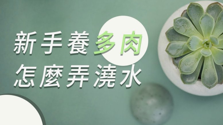 拿去花：如何撤回或删除已发送的花束？
