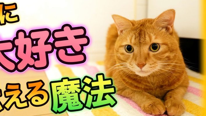 花呗天猫“秒套”：真假难辨