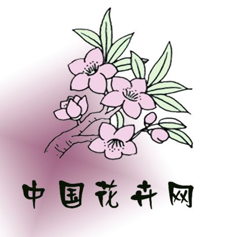 花呗app是什么意思