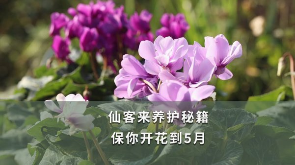 如何在消费中套利增值