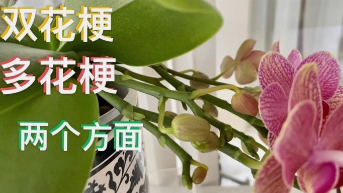 花呗套现真的没有手续费吗？
