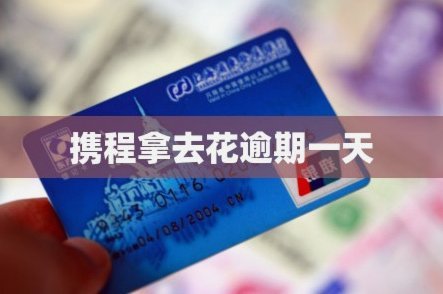 携程拿去花取现需审批