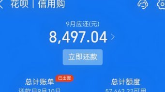 套花呗的机子可靠吗