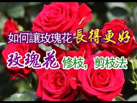 深入解析花呗二维码套现的风险与本质