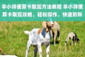 如何让“羊小咩”走进现实？