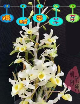 携程拿去花如何提现