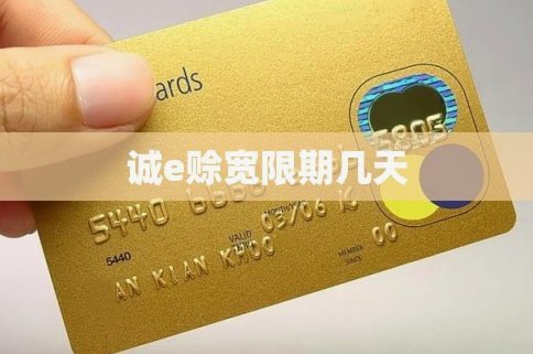 诚e赊：轻松获取与合理用