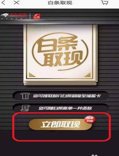 京东白条如何安全调整支付设置
