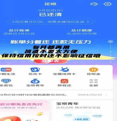 花呗是什么平台的软件