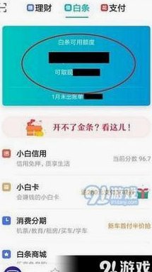 京东白条额度用完还能用吗