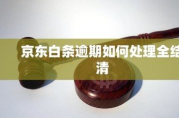 白条逾期怎么解决
