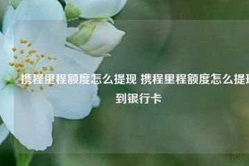 拿去花提现入口