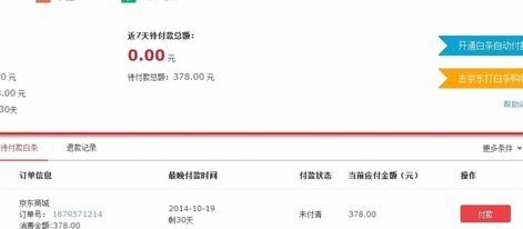 小白必看：白条正确使用方法全解析