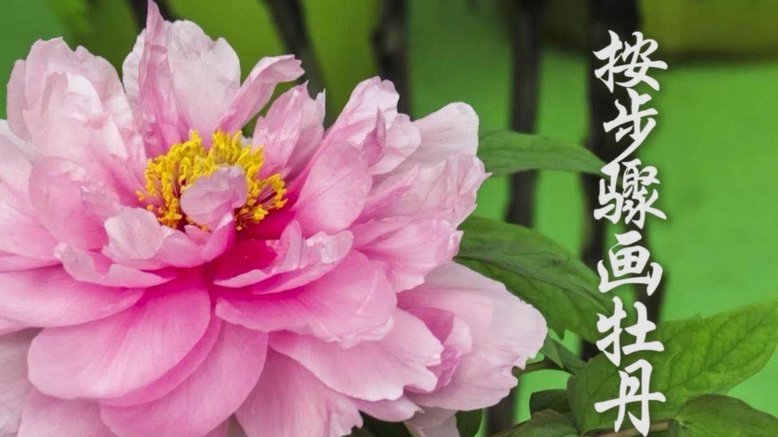花呗平台是什么平台