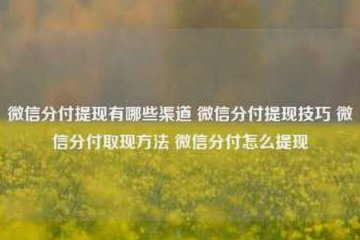 微信分付款如何提现